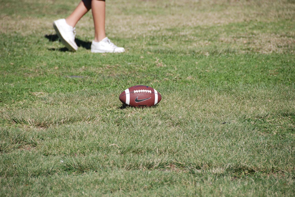 DSC_1151