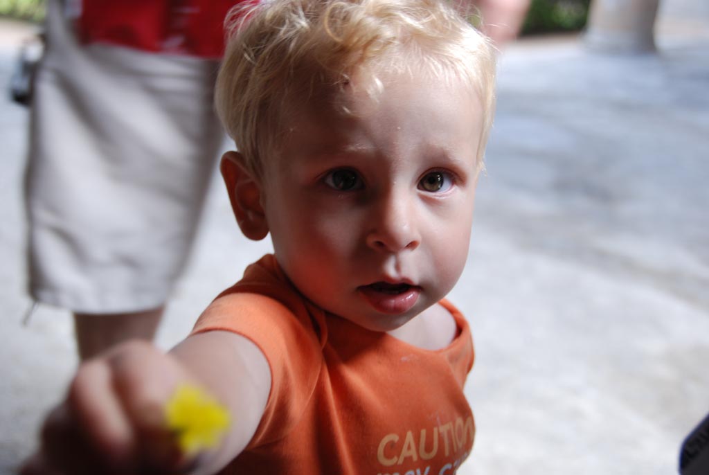 2008_Italy_200806060044