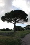 2008_Italy_200806050005