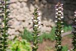 2008_Italy_200806060041