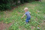 2008_Italy_200806080141