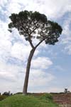 2008_Italy_200806080146