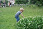 2008_Italy_200806080167