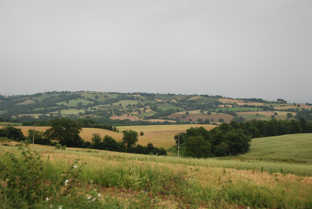 DSC_8700