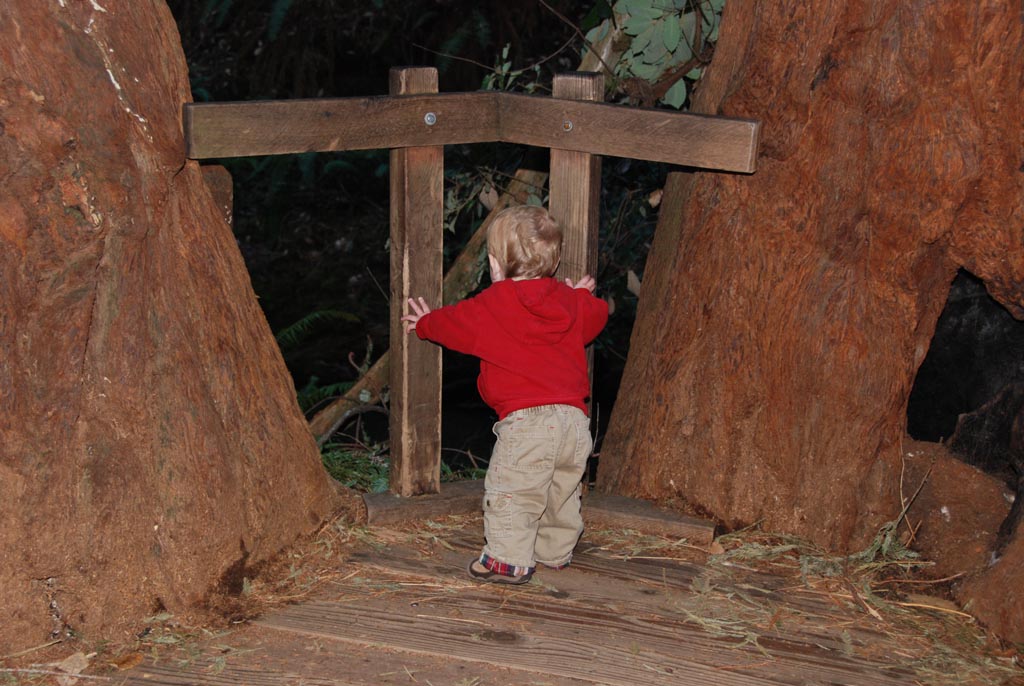 DSC_4764