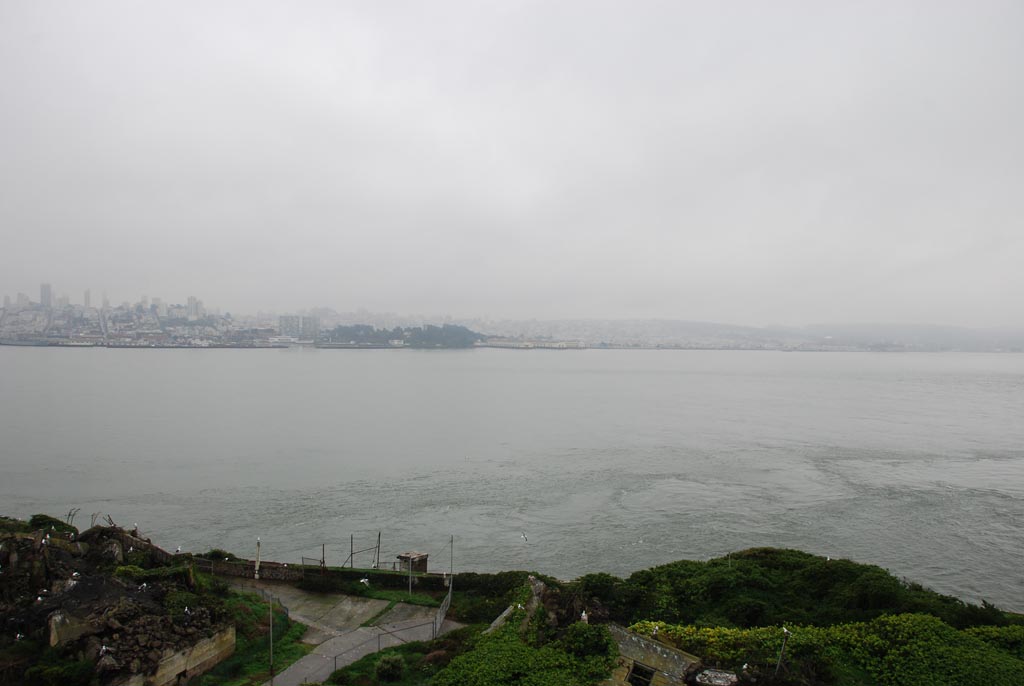 DSC_4831