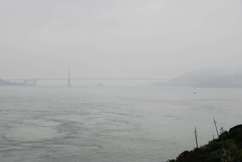 DSC_4832