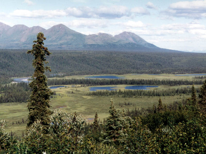 Denali
