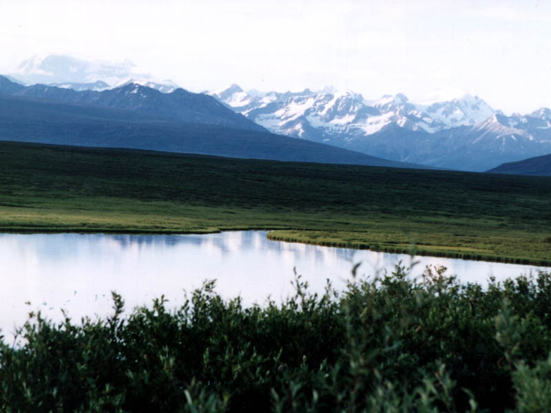 Denali