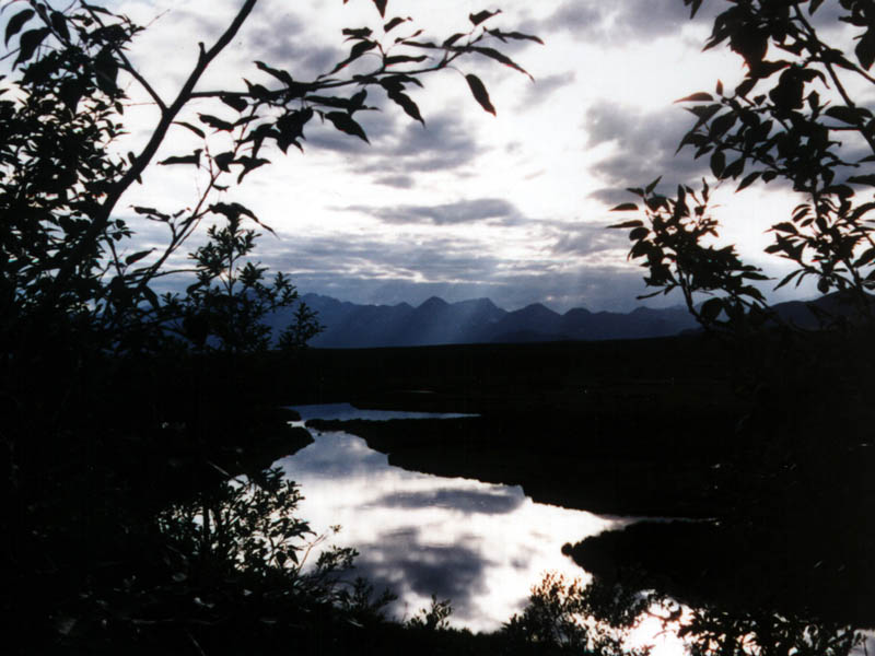 Denali