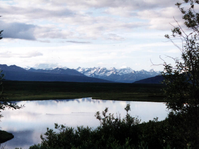 Denali