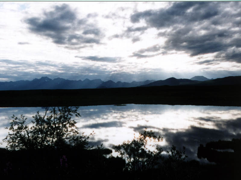 Denali