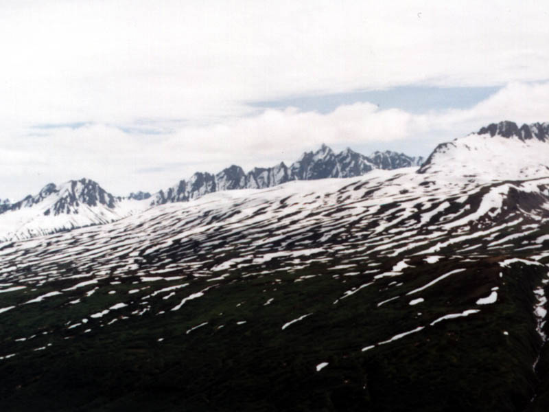 Road_to_Valdez