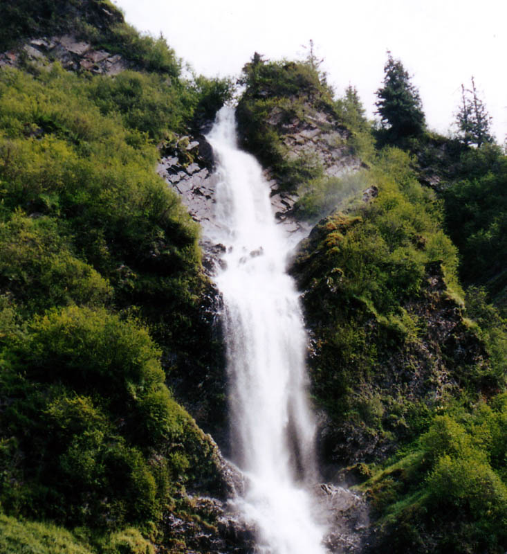 Valdez