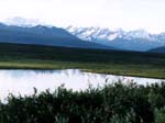 Denali