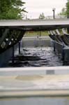 Salmon_Fishery