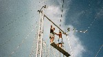 210_10.jpg
