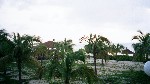 223_23.jpg