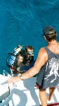 317_17.jpg