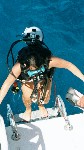 319_19.jpg