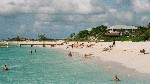 415_15.jpg