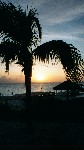 421_21.jpg