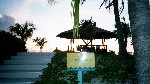 423_23.jpg