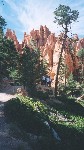 207_19.jpg