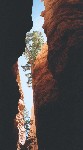 208_18.jpg