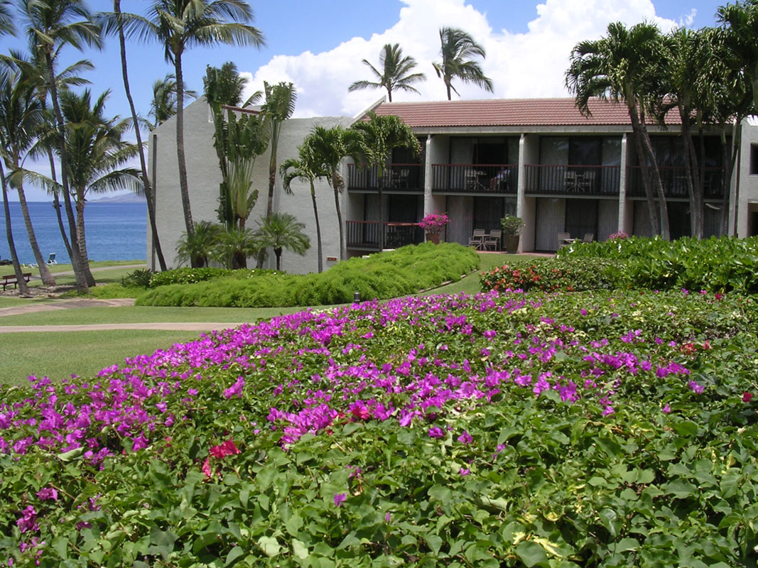 2004 Maui 019