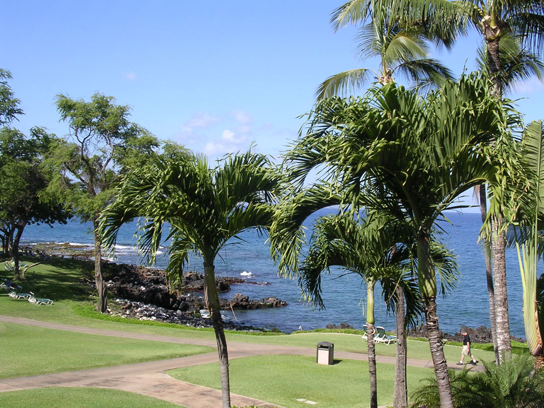 2004 Maui 024