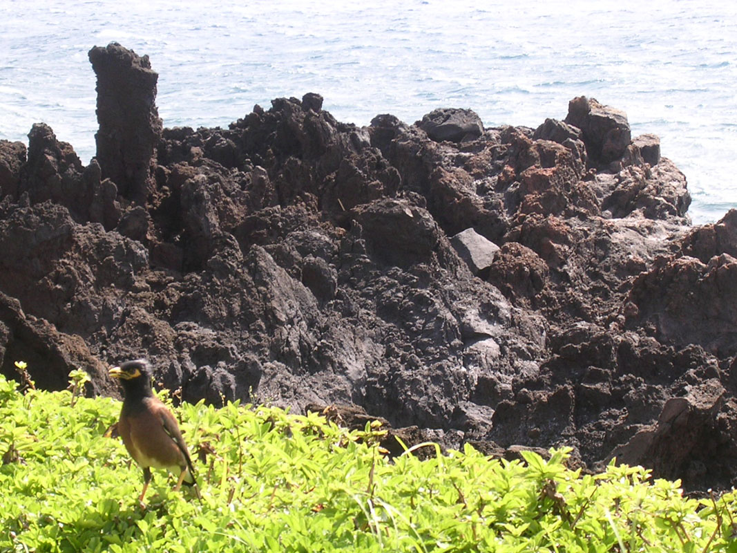 2004 Maui 041