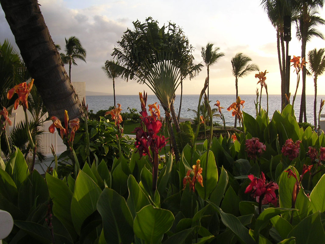 2004 Maui 063