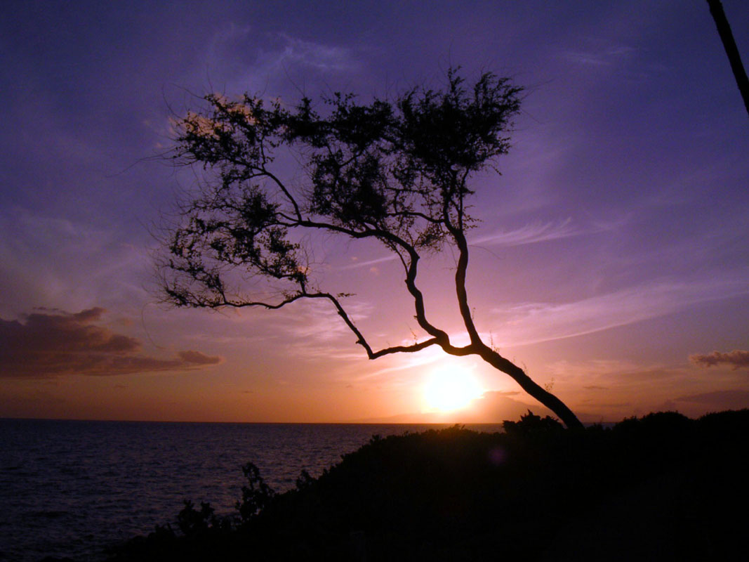 2004 Maui 066_2