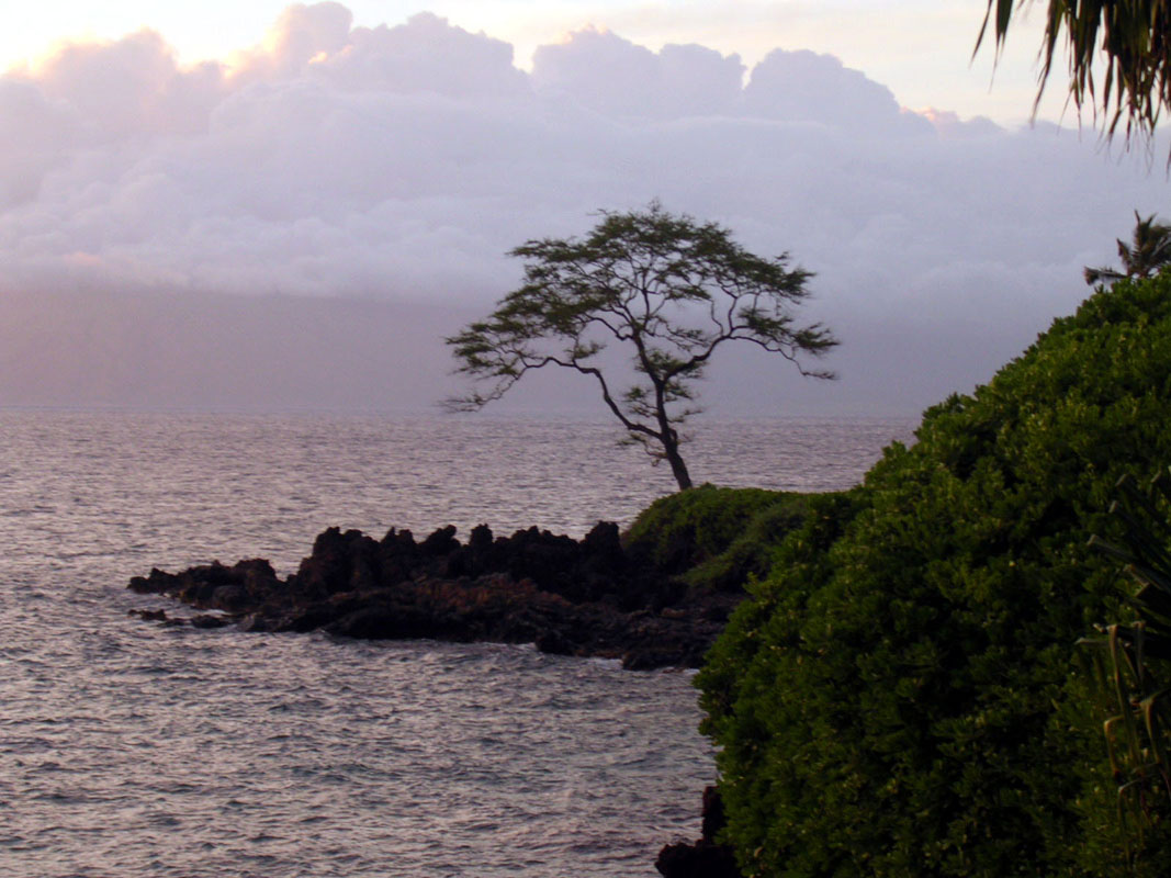 2004 Maui 069