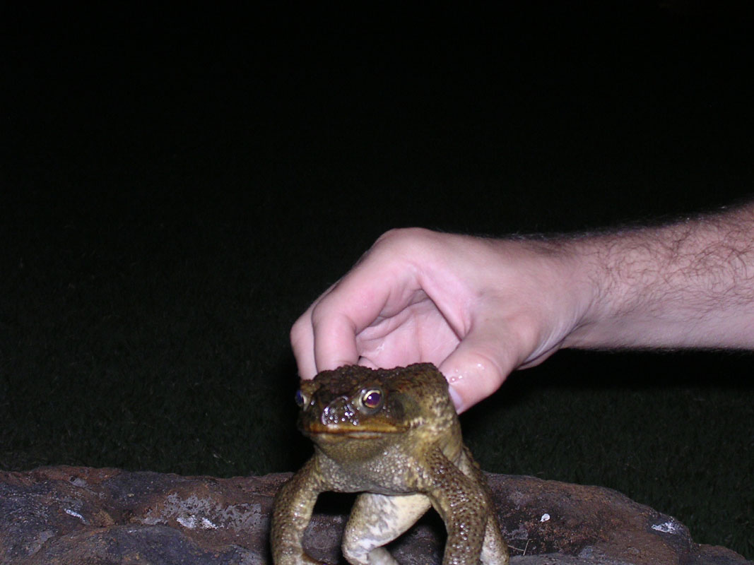 2004 Maui 086