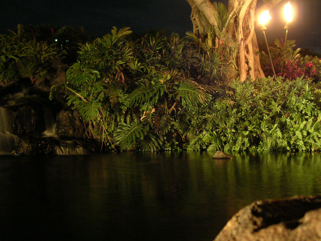 2004 Maui 095