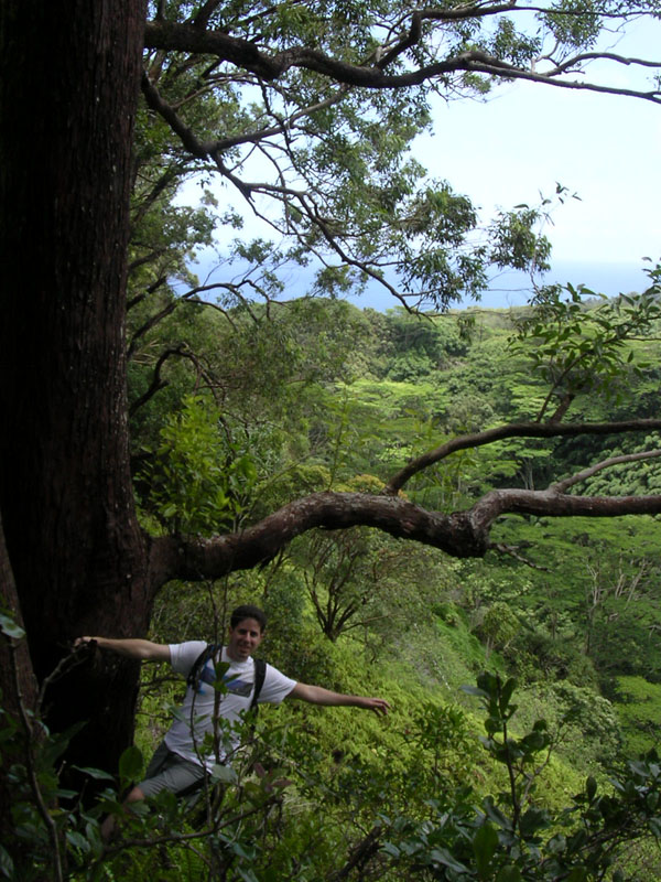 2004 Maui 121