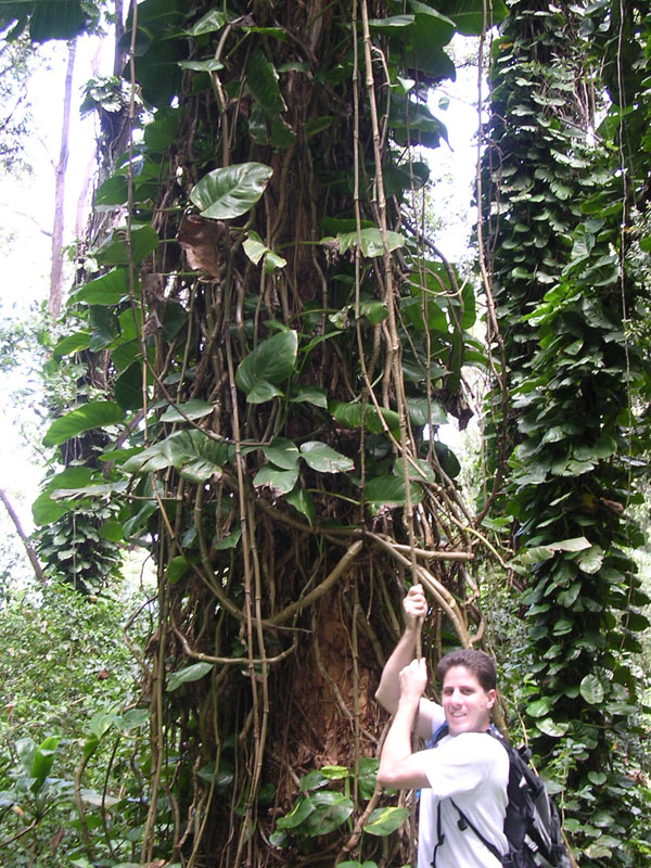 2004 Maui 124
