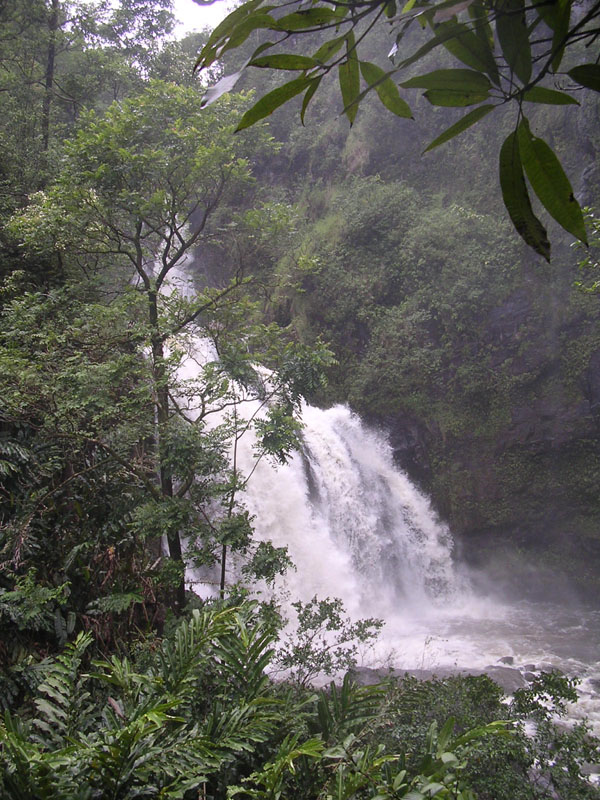 2004 Maui 135