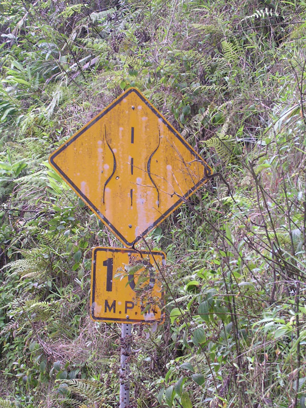 2004 Maui 149
