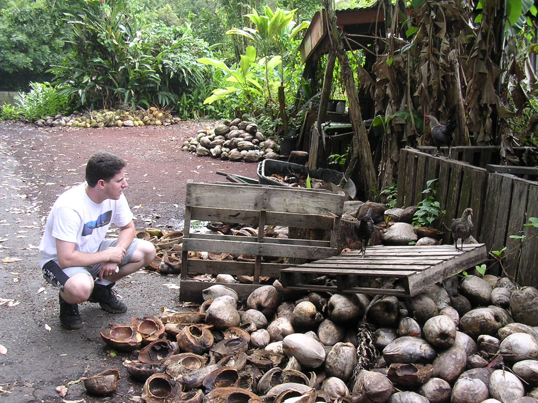 2004 Maui 158