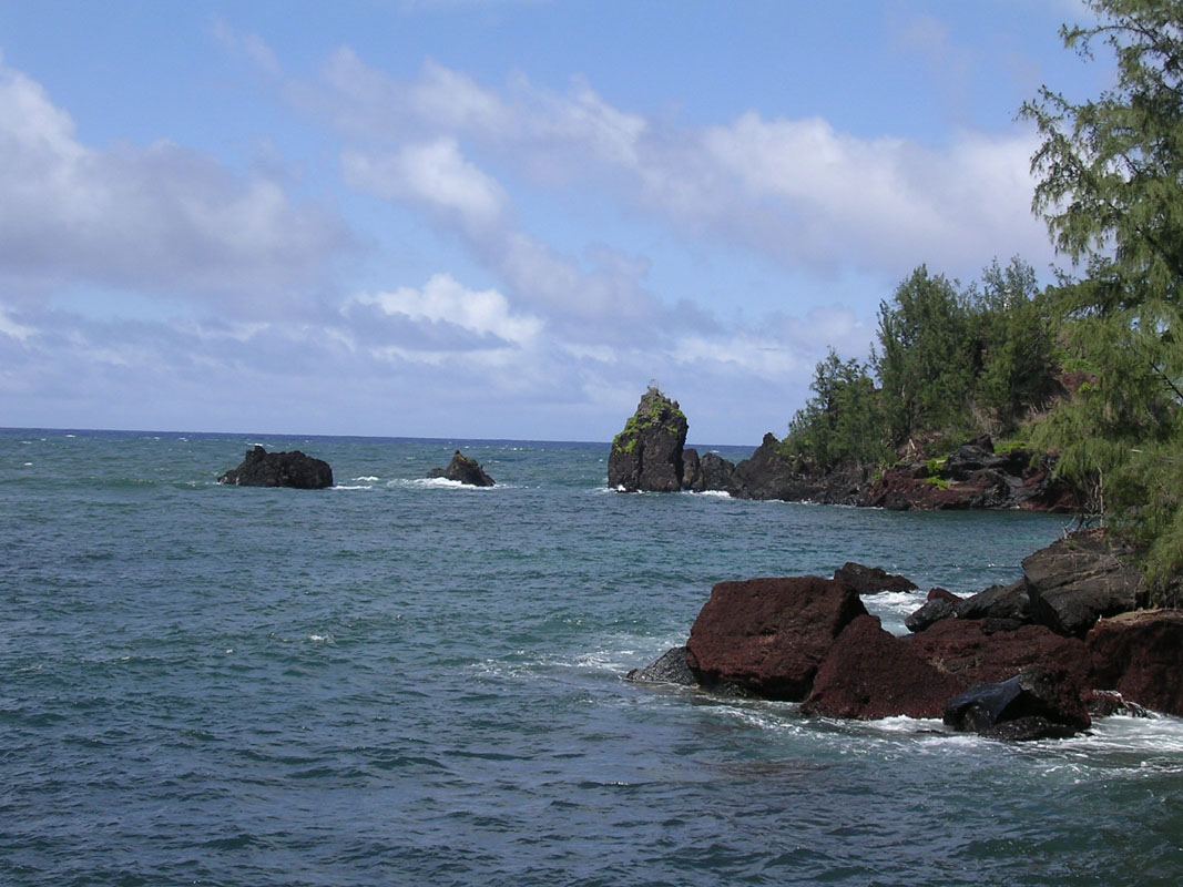 2004 Maui 167