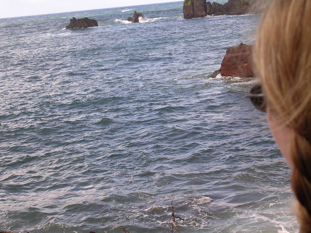 2004 Maui 179