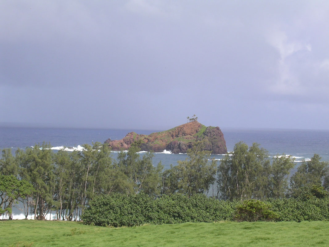 2004 Maui 190