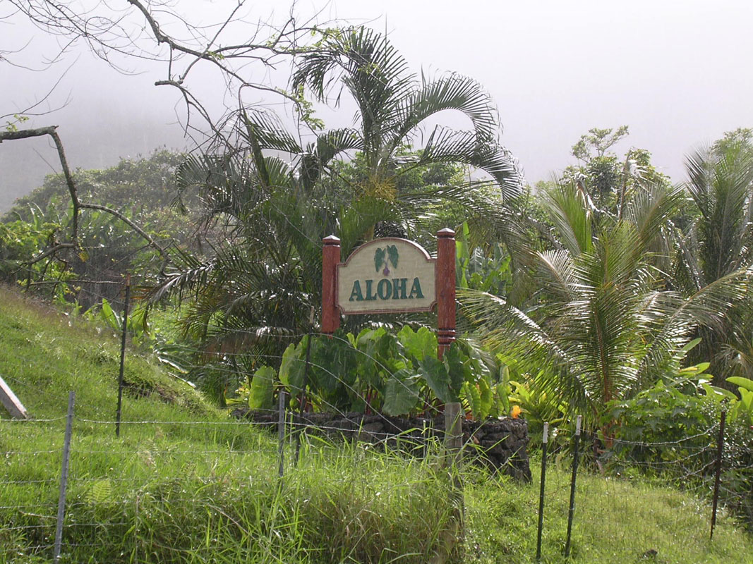2004 Maui 192