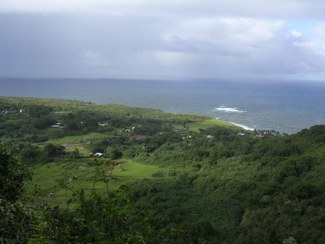 2004 Maui 198