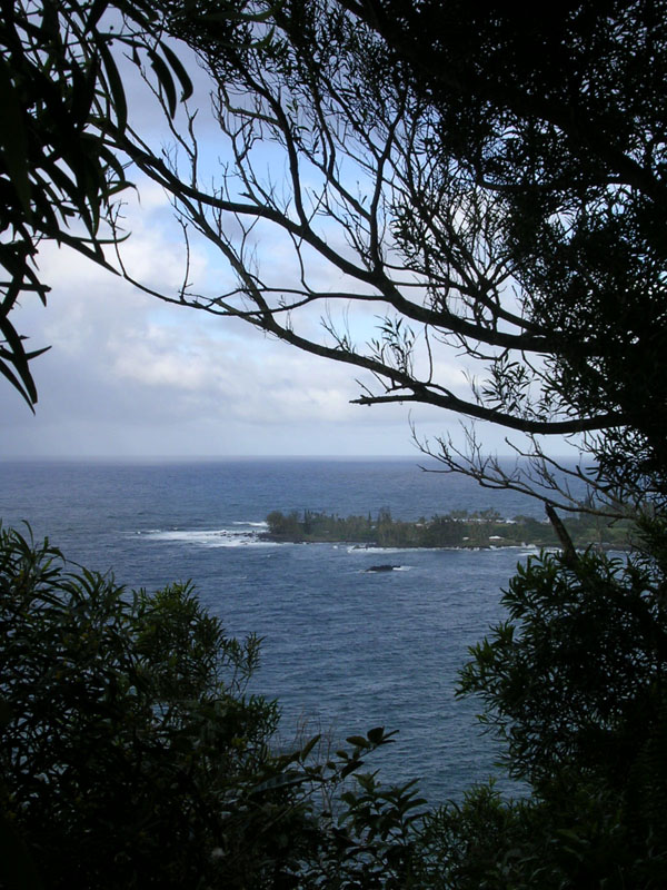 2004 Maui 201