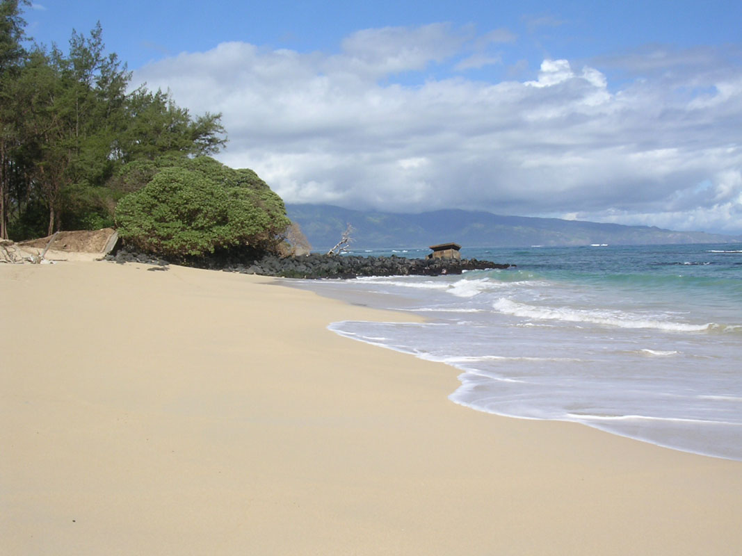 2004 Maui 218