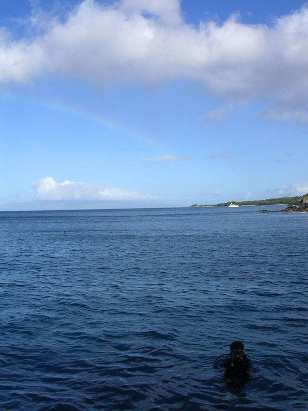 2004 Maui 226